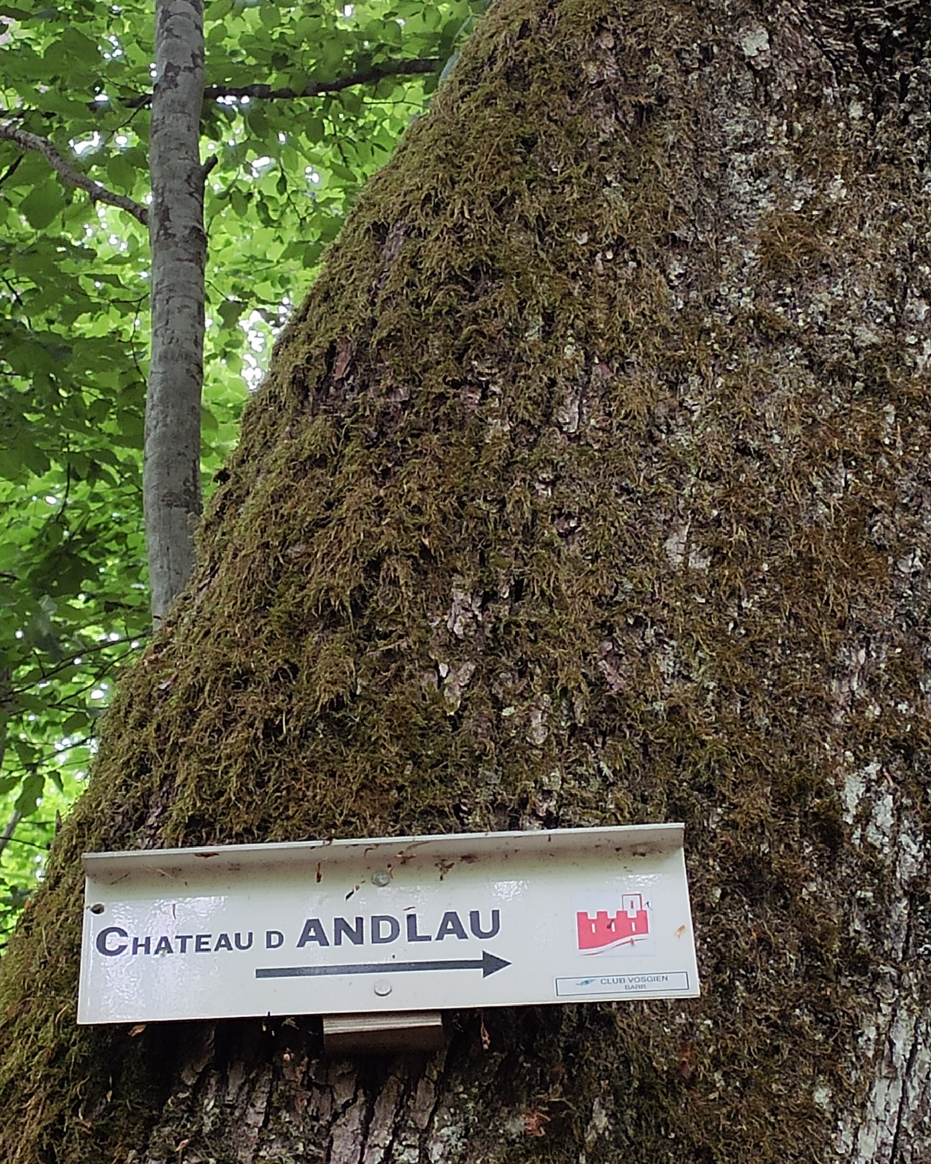 Photo n° 1 de l'avis de Ellen.e fait le 23/08/2022 à 19:36