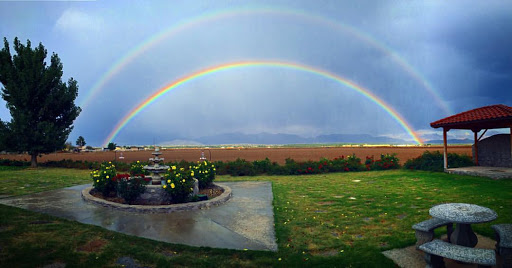 Vineyard «Rio Grande Vineyard & Winery», reviews and photos, 5321 NM-28, Las Cruces, NM 88005, USA