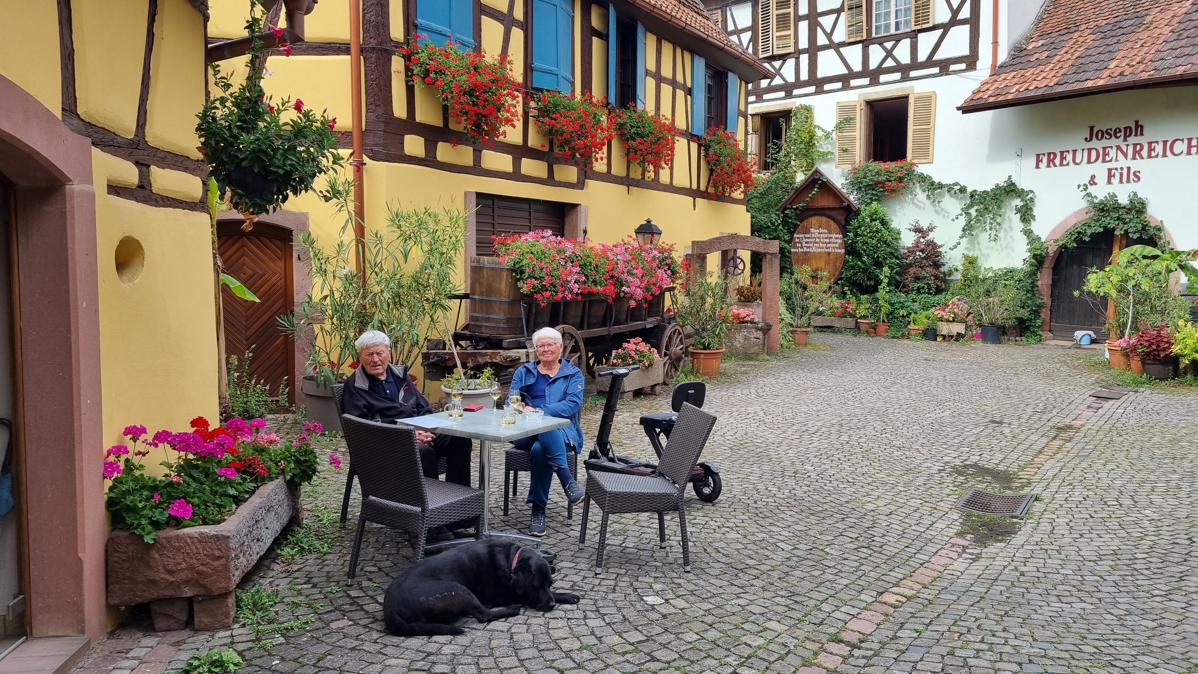 Photo n° 1 de l'avis de Per.e fait le 31/08/2019 à 17:21