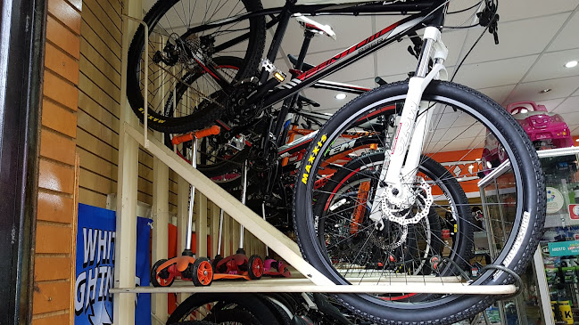Opiniones de Rulo bikes and rolles spa en San Antonio - Tienda de bicicletas