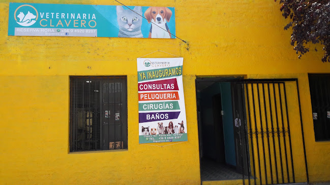 Clínica Veterinaria Clavero - Puente Alto