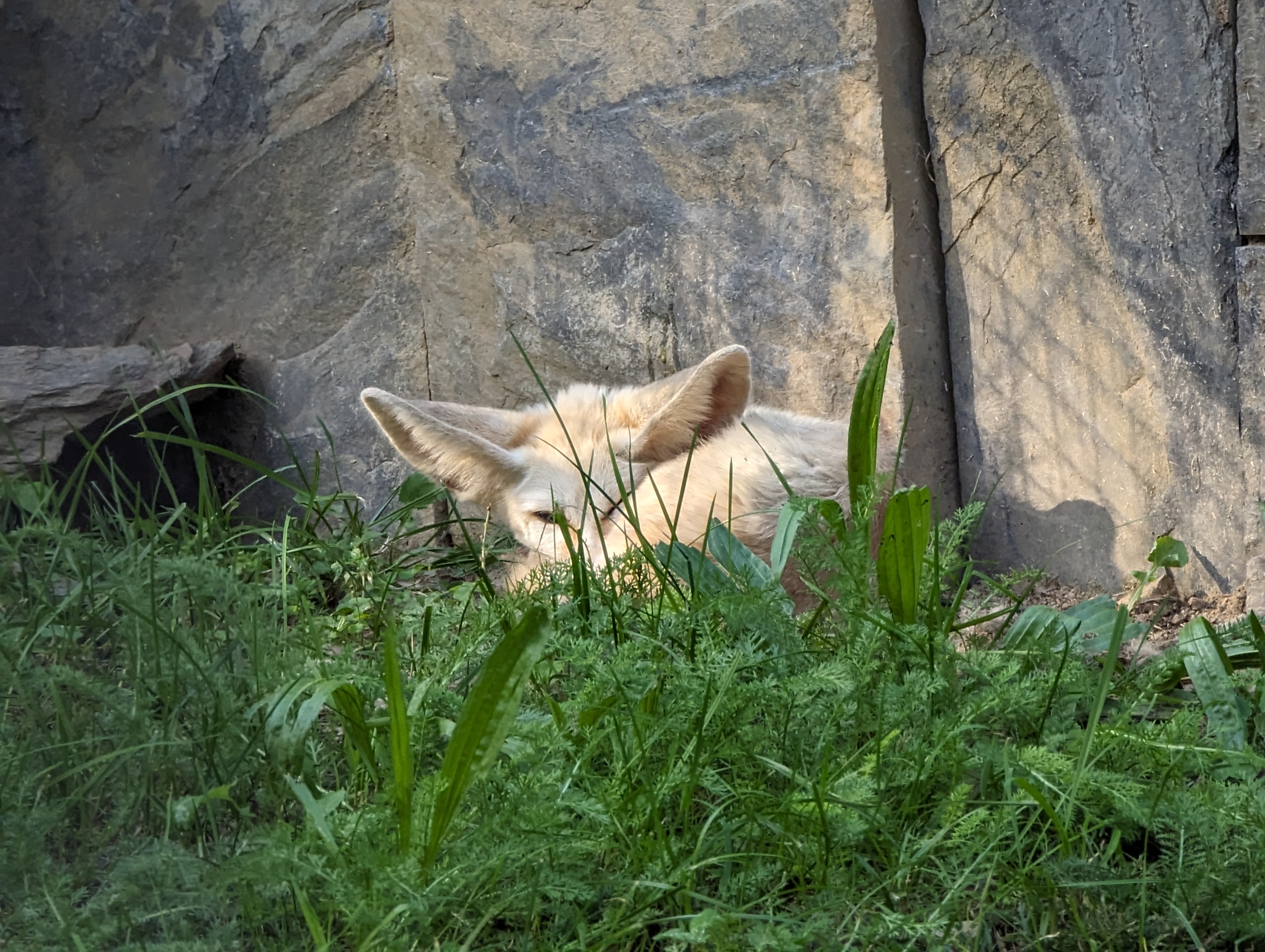 Photo n° 22 de l'avis de Thibaud.l fait le 10/10/2023 à 07:10