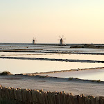 Photo n°3 de l'avis de POL.U fait le 08/04/2020 à 22:09 sur le  Mamma Caura à Marsala