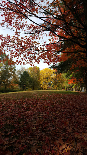 Park «Danehy Park», reviews and photos, 99 Sherman St, Cambridge, MA 02138, USA