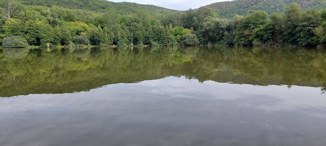 Opinii despre Kerektavi Természetház în Esztergom - Múzeum