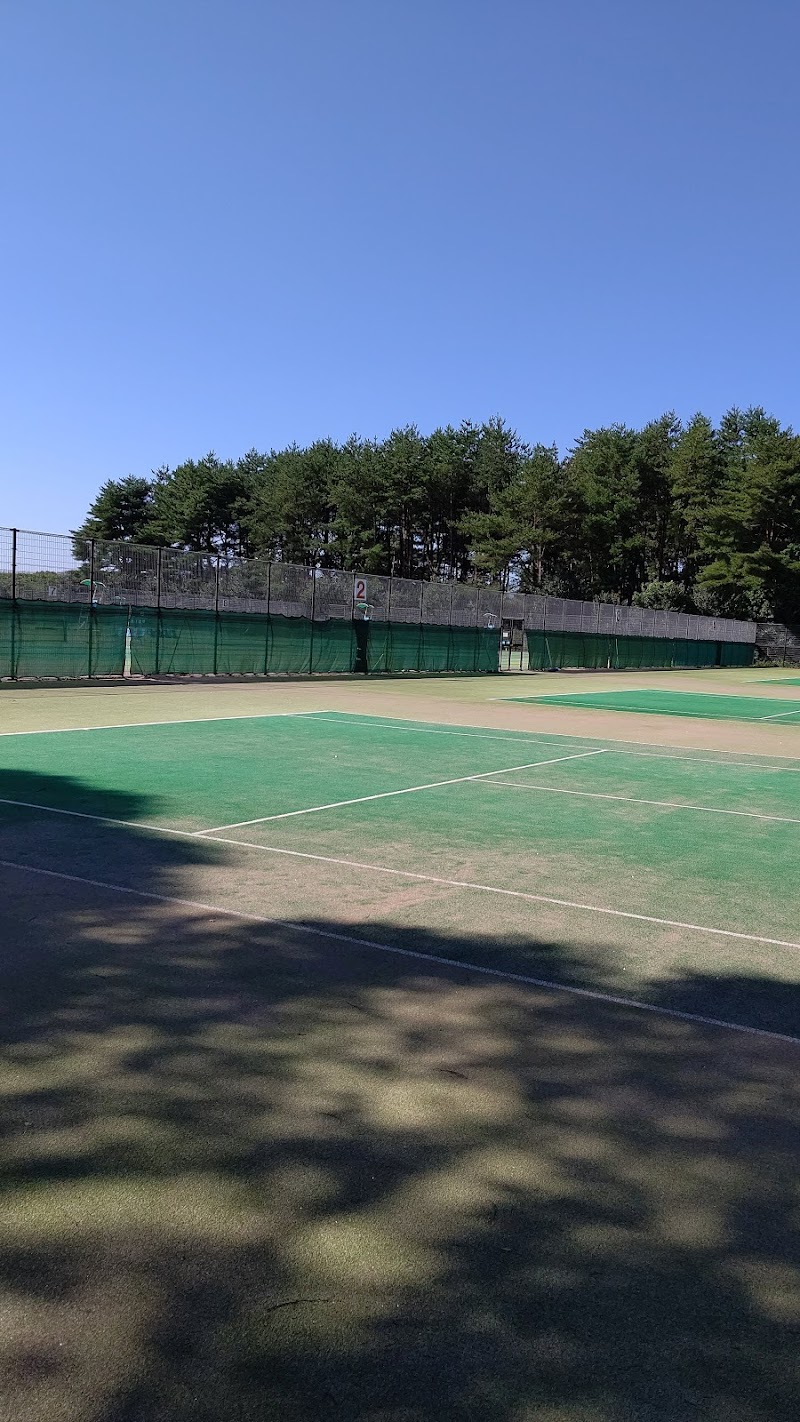 那須野ヶ原公園 テニスコート 栃木県那須塩原市接骨木 テニス コート グルコミ