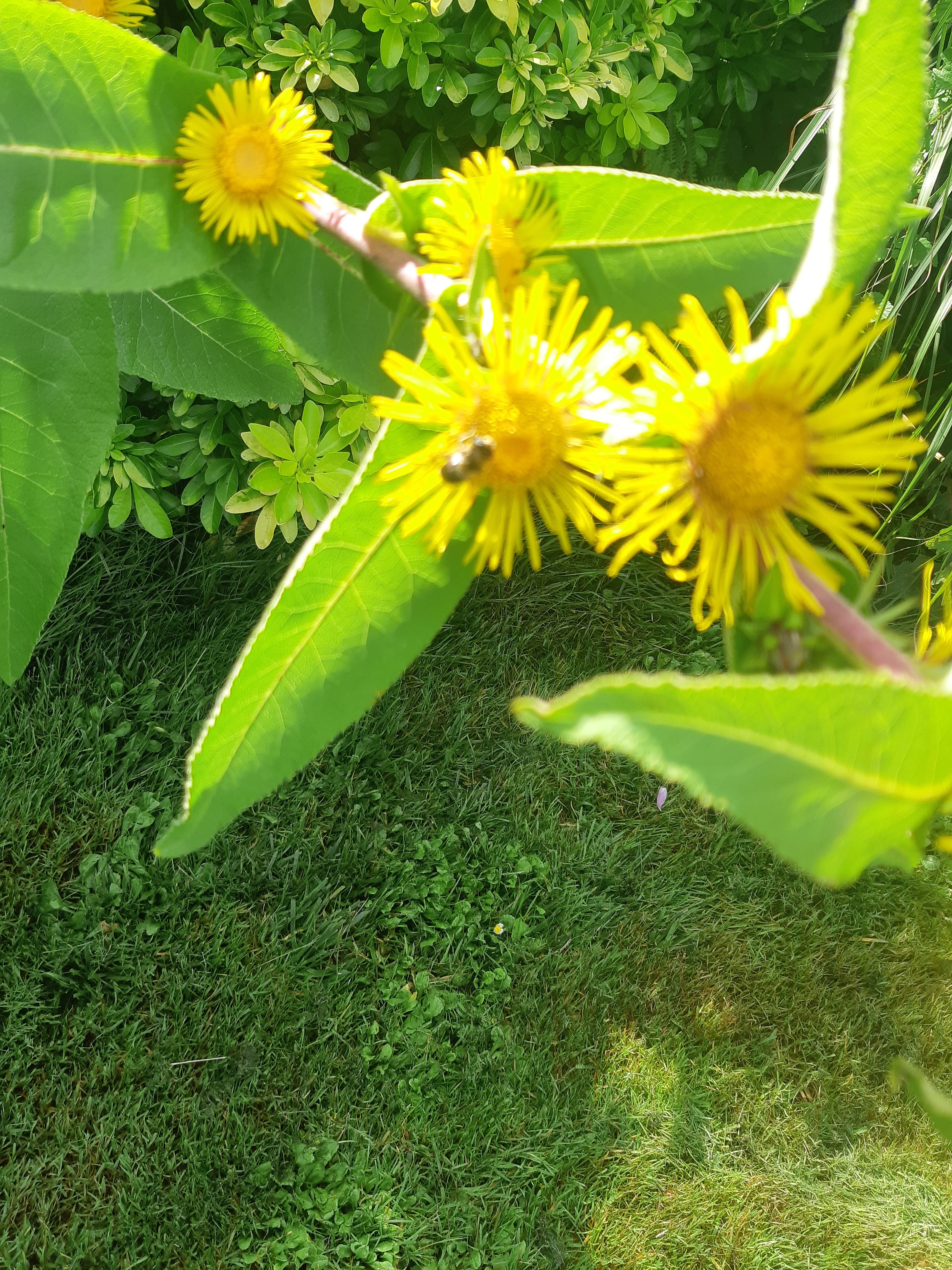 Photo n° 4 de l'avis de Monnin.h fait le 30/08/2022 à 15:51