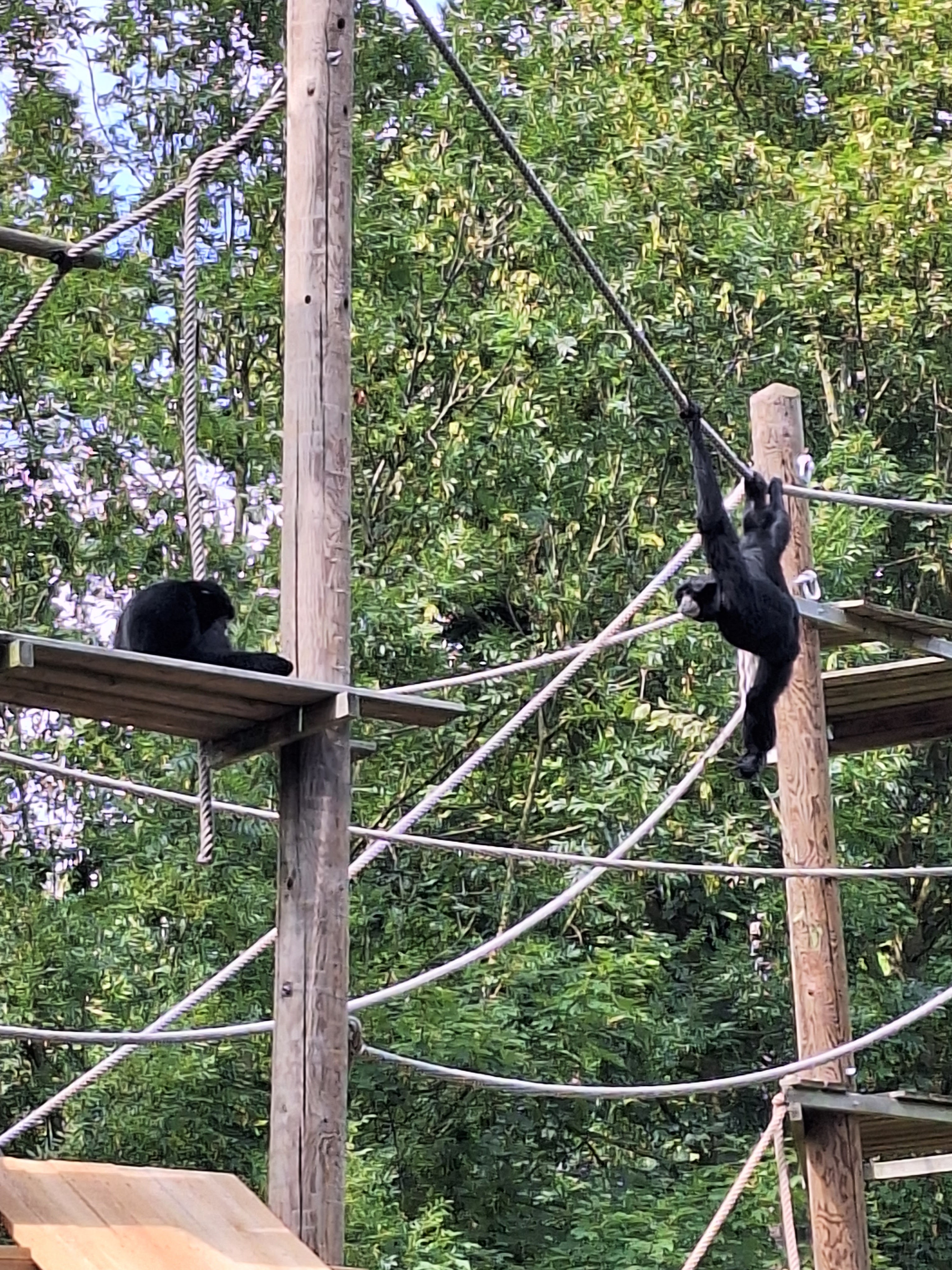 Photo n° 3 de l'avis de Sabrina.e fait le 31/07/2023 à 08:05