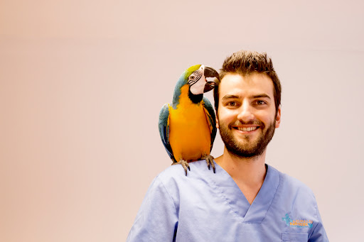 ANIMALES EXÓTICOS 24H Veterinarios especialistas