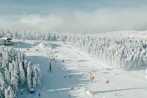Zieleniec Ski Arena image