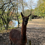 Photo n° 15 de l'avis de laila.g fait le 01/11/2023 à 12:47 pour Planète Sauvage à Port-Saint-Père