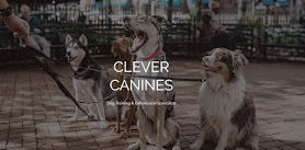 Clever Canines