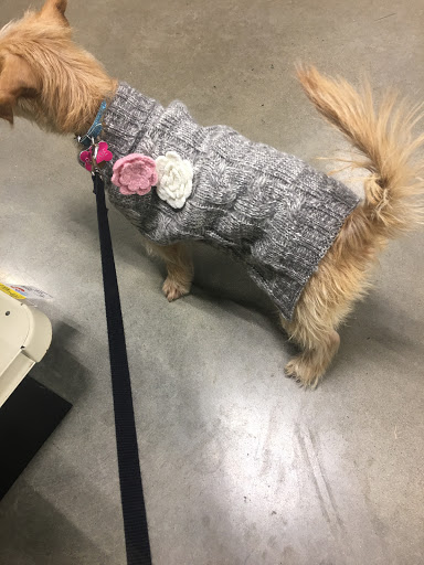 Pet Supply Store «PetSmart», reviews and photos, 540 New York Ave, Lyndhurst, NJ 07071, USA