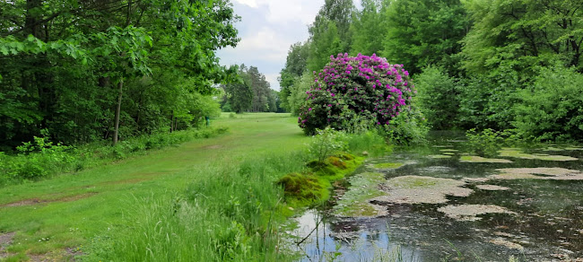 bergen-hohne-golfclub.com