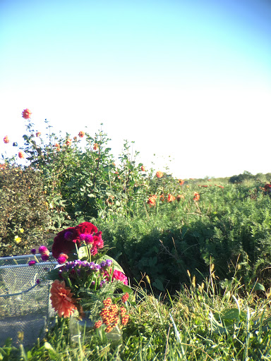 Produce Market «Blue Moon Acres», reviews and photos, 11 Willow Creek Dr, Pennington, NJ 08534, USA