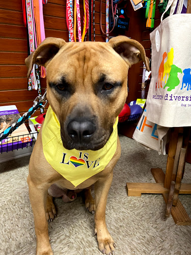 Pet Supply Store «Haute Dogs Boutique & Barkery», reviews and photos, 507 Georgia St, Vallejo, CA 94590, USA