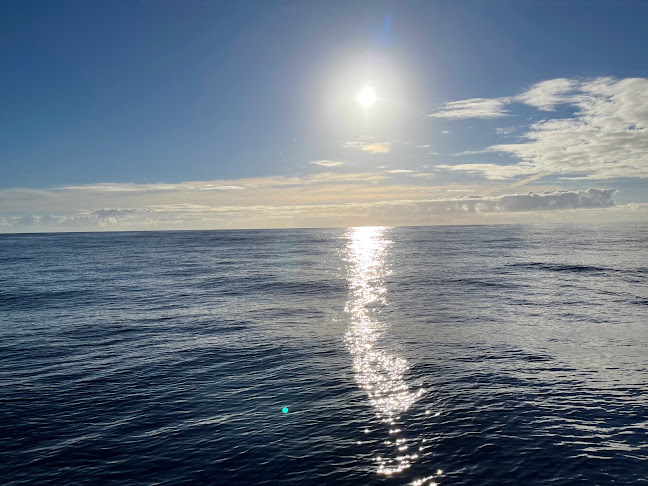 Avaliações doOceanEmotion | The Whale Watching in Terceira em Angra do Heroísmo - Agência de viagens