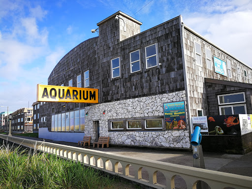 Aquarium «Seaside Aquarium», reviews and photos, 200 N Prom, Seaside, OR 97138, USA