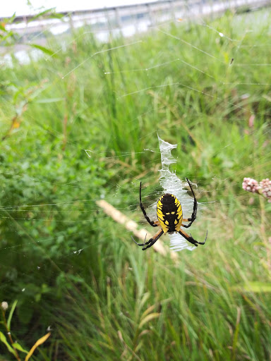 Park «Crooked Lake Park», reviews and photos, 13180 Crooked Lake Blvd NW, Coon Rapids, MN 55448, USA