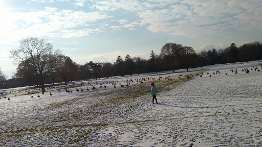 Golf Course «Gull Haven Golf Course», reviews and photos, 1 Gullhaven Dr, Central Islip, NY 11722, USA