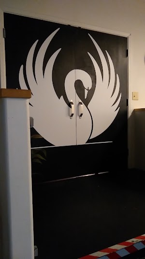 The Swan Theater - photo 4