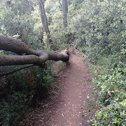 Photo n°17 de Pointe de Suzac à Saint-Georges-de-Didonne ()