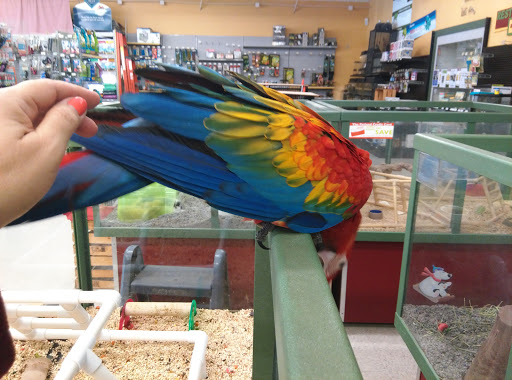 Pet Store «Petland Plano», reviews and photos, 1301 Custer Rd #405, Plano, TX 75075, USA