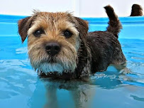 The Watering Bowl - Photo 7 - Car repair in St. Louis, MO, St. Louis