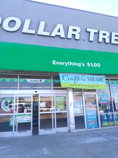Dollar Store «Dollar Tree», reviews and photos, 1031 E Oakton St, Des Plaines, IL 60018, USA