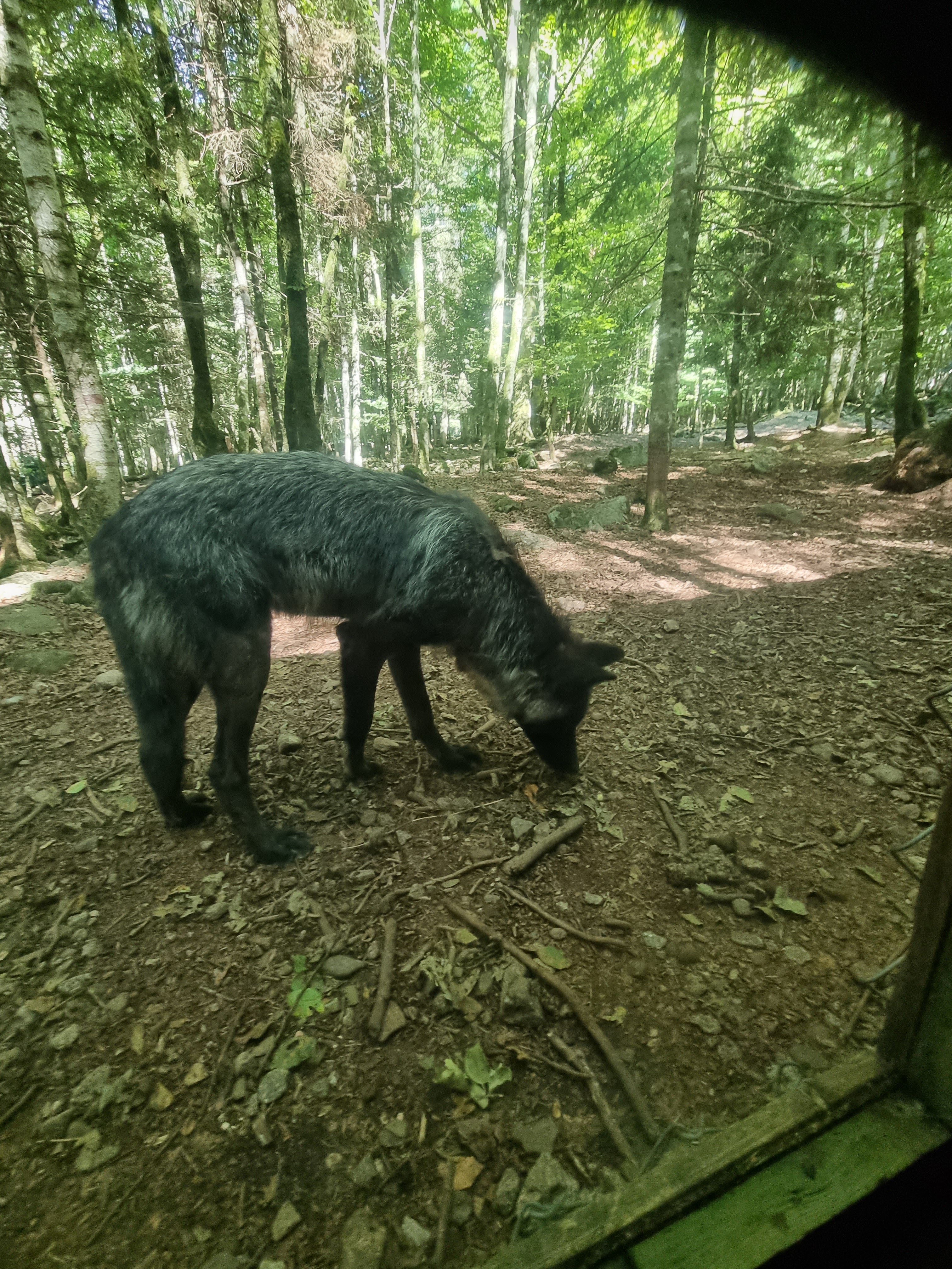 Photo n° 8 de l'avis de p.d fait le 14/07/2023 à 17:06