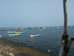 Foto von Tharuvai Kulam Beach wilde gegend
