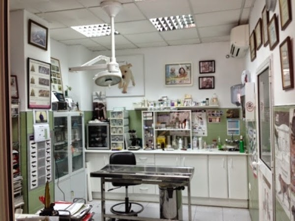 CENTRO VETERINARIO AMIGOS