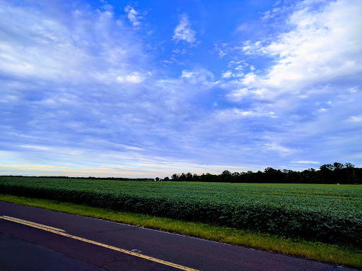 Golf Course «The Meadows at Middlesex Golf Course», reviews and photos, 70 Hunters Glen Dr, Plainsboro Township, NJ 08536, USA