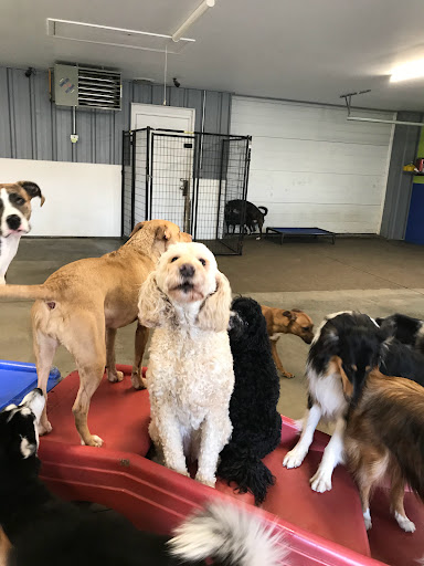 Pet Store «Happy, Clean and Smart», reviews and photos, 5700 W Kilgore Ave, Muncie, IN 47304, USA