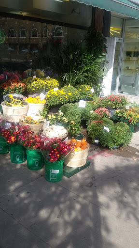 Bloor Village Flowers