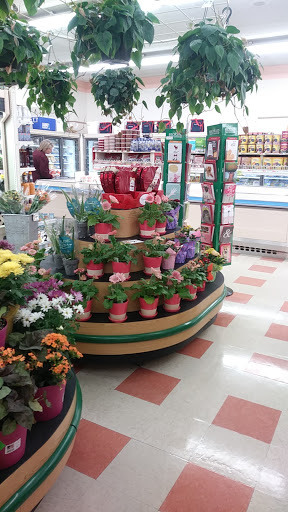 Grocery Store «Market Basket», reviews and photos, 399 John Fitch Hwy, Fitchburg, MA 01420, USA