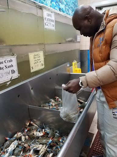 Asian Grocery Store «Cho Saigon New Market», reviews and photos, 2206 S Collins St, Arlington, TX 76010, USA