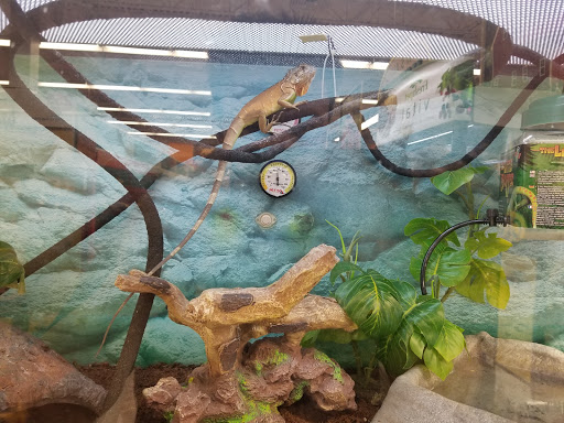 Pet Supply Store «Petco Animal Supplies», reviews and photos, 1009 E Commercial Blvd, Oakland Park, FL 33334, USA