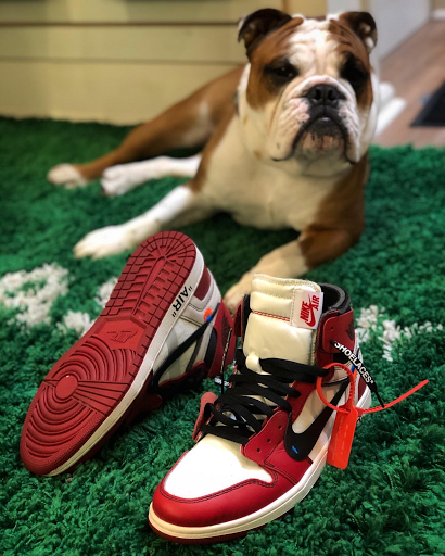 Thrift Store «Lucky Dog Clothing», reviews and photos, 8201 Greenwood Ave N, Seattle, WA 98103, USA