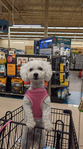 Pet Supply Store «Petco Animal Supplies», reviews and photos, 10315 E Shelby Dr, Collierville, TN 38017, USA