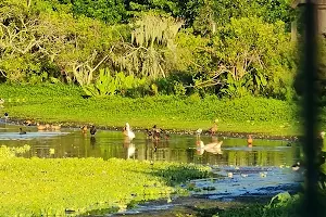 Parque Natural Municipal Tupancy image