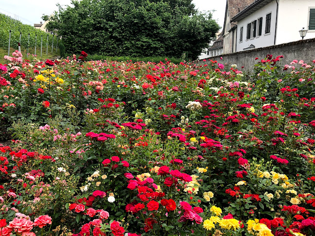 https://de.wikipedia.org/wiki/Roseng%C3%A4rten_in_Rapperswil