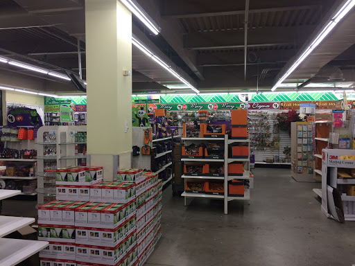 Dollar Store «Dollar Tree», reviews and photos, 912 River St Ste 100, Hyde Park, MA 02136, USA