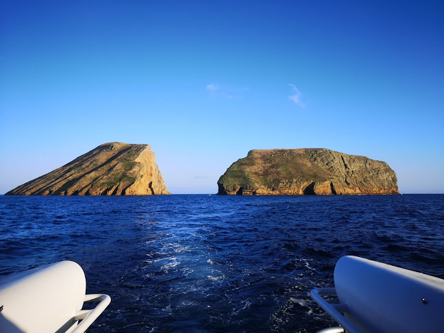 Water4fun - Whale Watching Terceira island - Agência de viagens