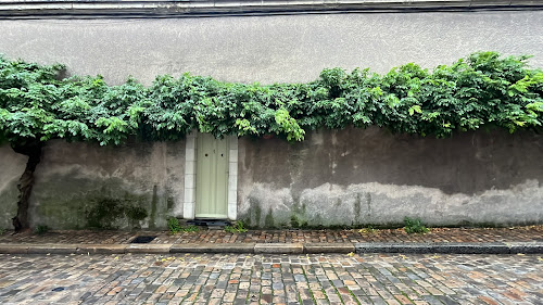 Wall tree à Angers