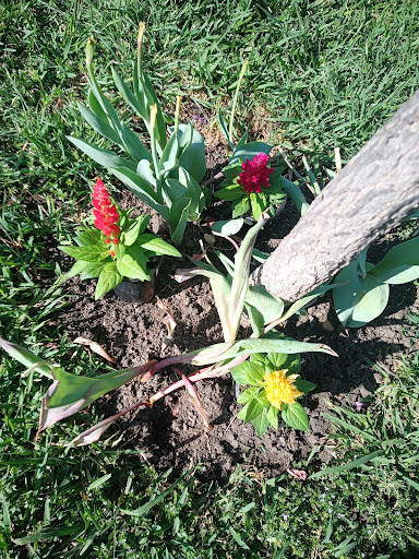 Home Improvement Store «The Home Depot», reviews and photos, 11468 Grissom Ln, Dallas, TX 75229, USA