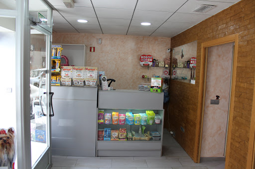 Clínica Veterinaria Dama y Vagabundo en Elche