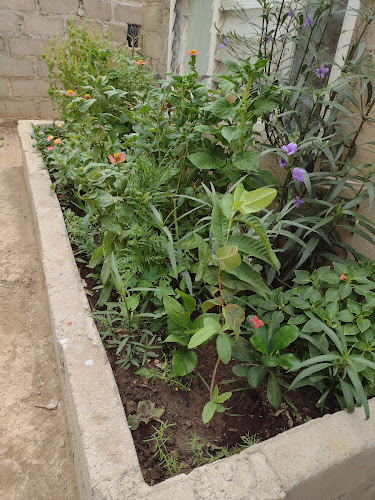 Vivero caribe - Riohacha