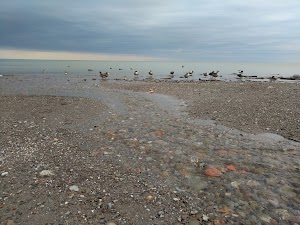 Bradstreets Landing Park - photo 18