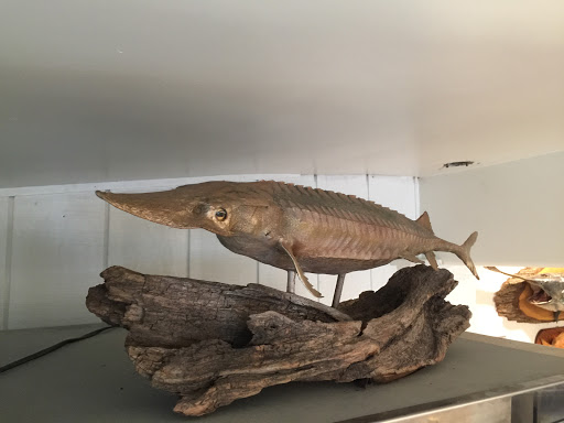 Seafood Market «FLAGSHIP Specialty Foods & Fish Market», reviews and photos, 14939 Red Arrow Hwy, Lakeside, MI 49116, USA